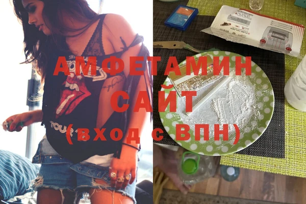 индика Алзамай