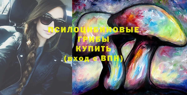 индика Алзамай