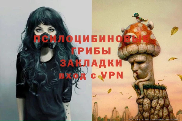 индика Алзамай