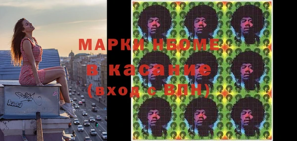 индика Алзамай