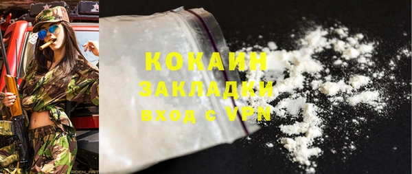 индика Алзамай