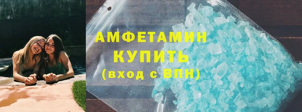индика Алзамай