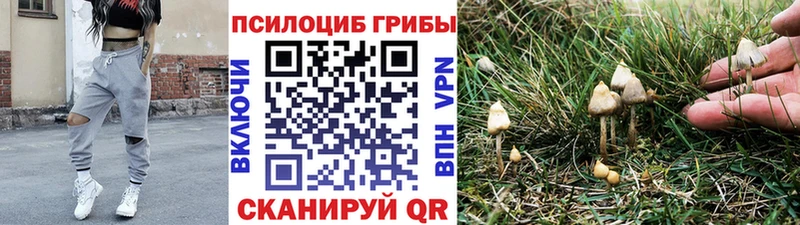 mega ONION  Инсар  Галлюциногенные грибы прущие грибы 