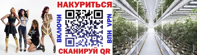 где продают   Инсар  Бошки марихуана ГИДРОПОН 